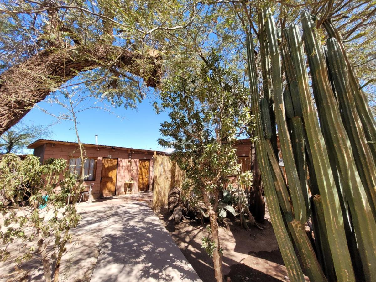 Hostal Katarpe San Pedro de Atacama Ngoại thất bức ảnh