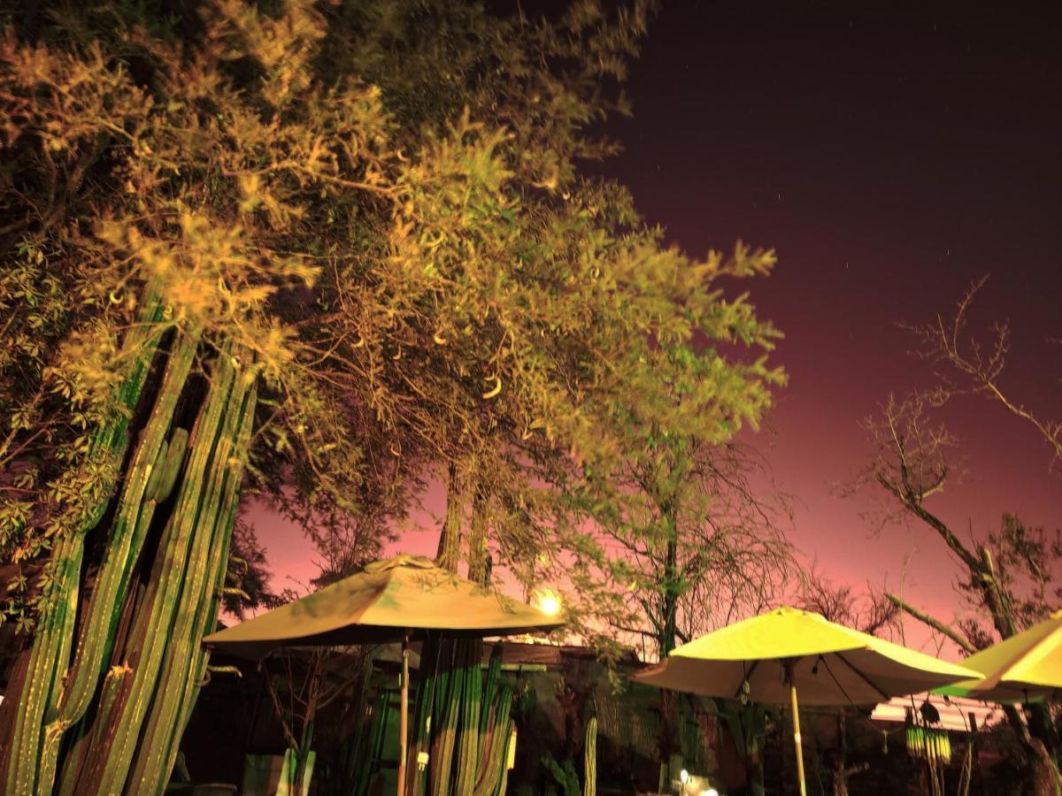 Hostal Katarpe San Pedro de Atacama Ngoại thất bức ảnh