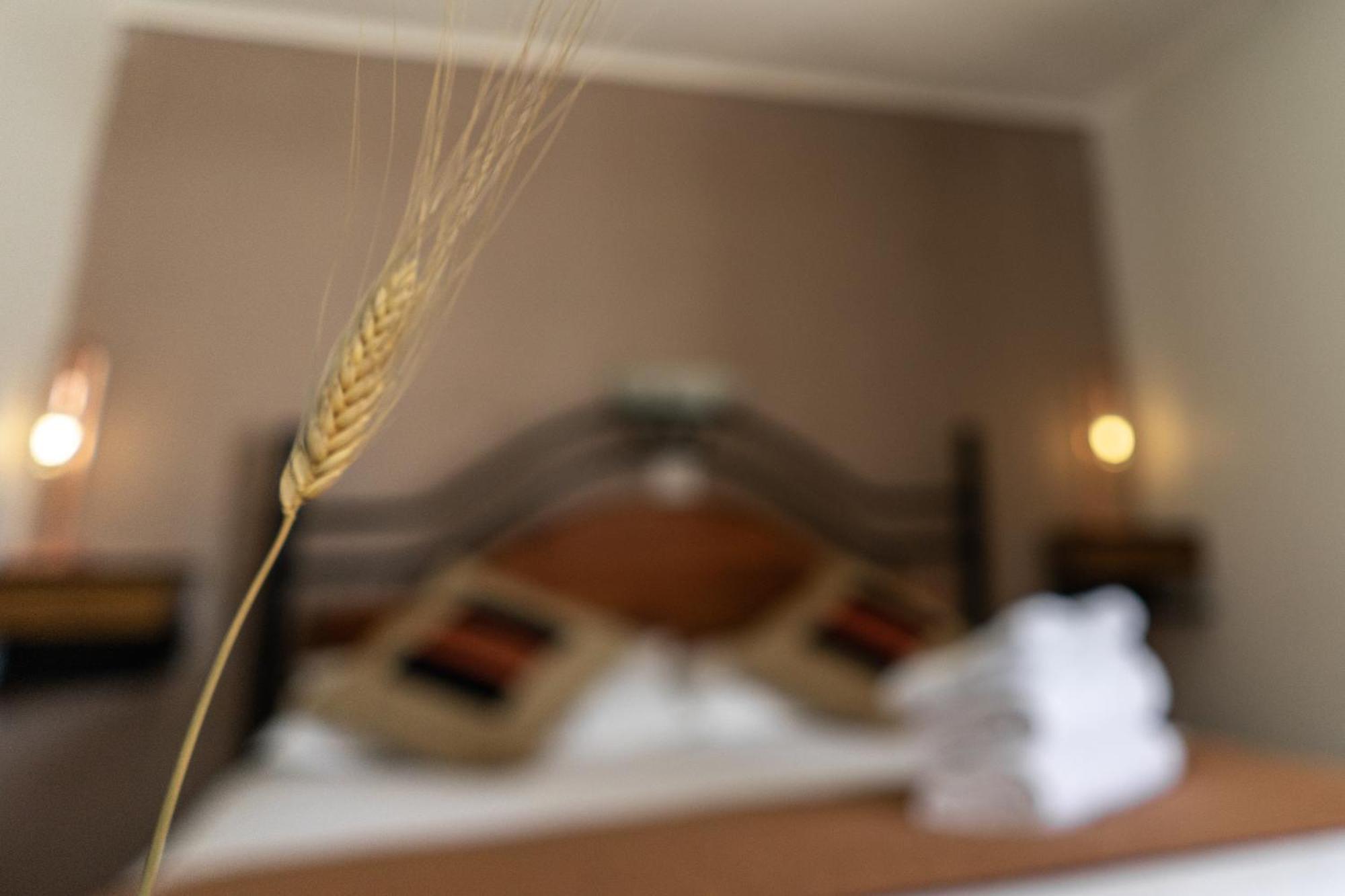 Hostal Katarpe San Pedro de Atacama Ngoại thất bức ảnh