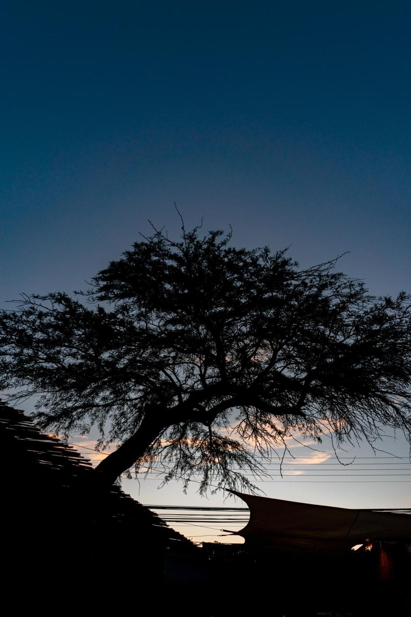 Hostal Katarpe San Pedro de Atacama Ngoại thất bức ảnh